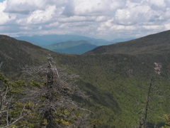 The Gulf between Whiteface and Passaconaway