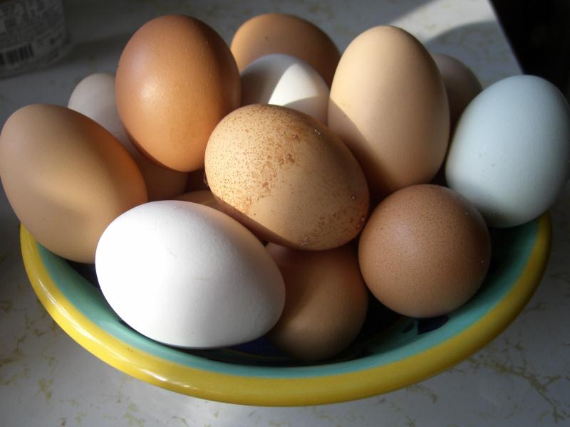 Eggs