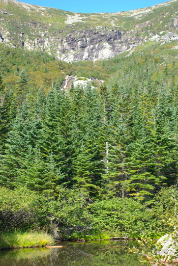 Base of Tuckerman Ravine