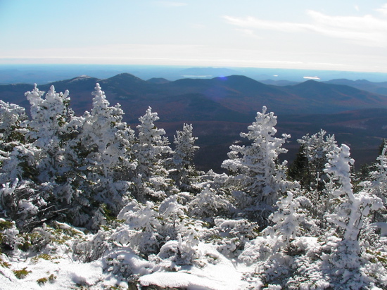 Mount Hight's Alpine Zone