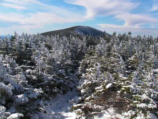 View of the Carters from Mount Hight