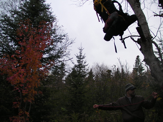 Hanging the pack