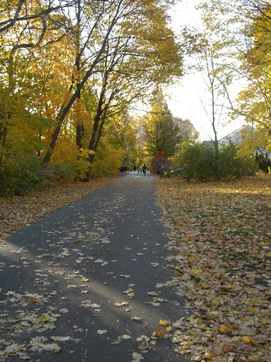 bikepath