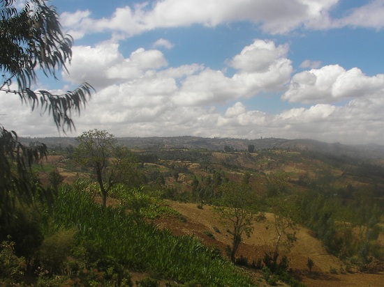 SANY0752