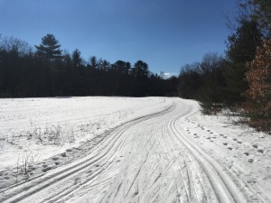 XC Skating at Great Brook Farm